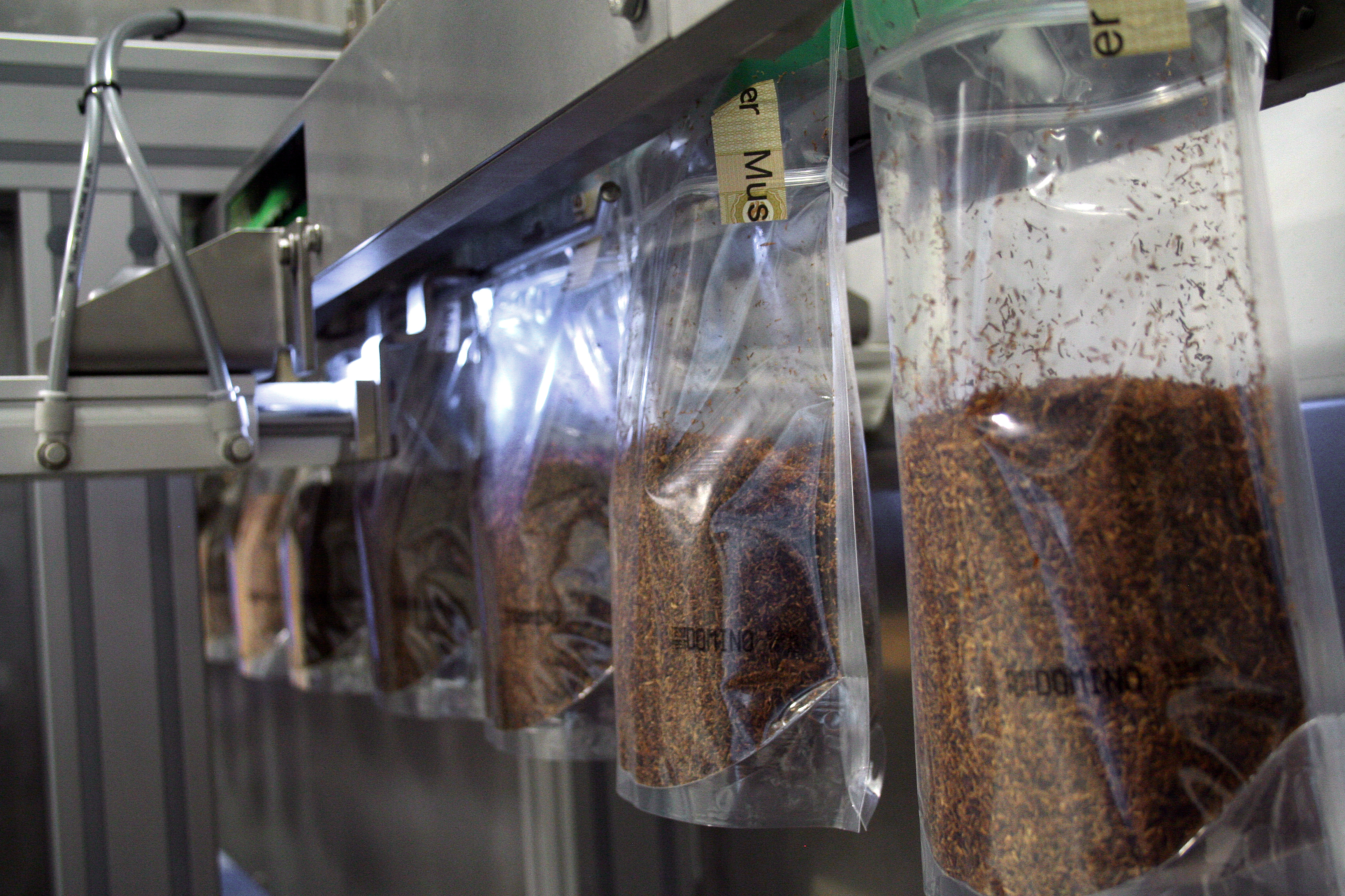 Flexible pouch forming, filling and sealing machine Doysis