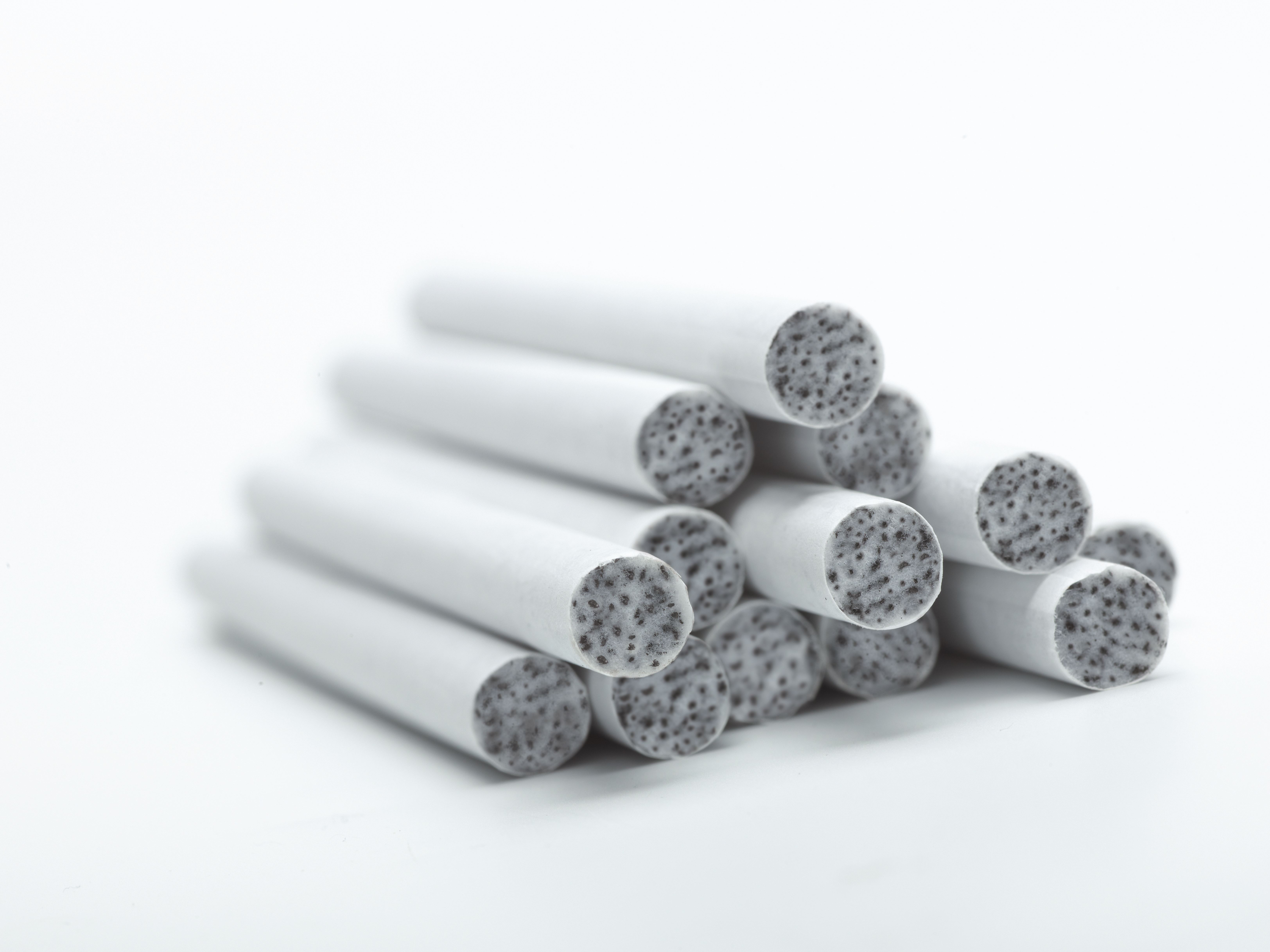 Combustible filters by Polaris