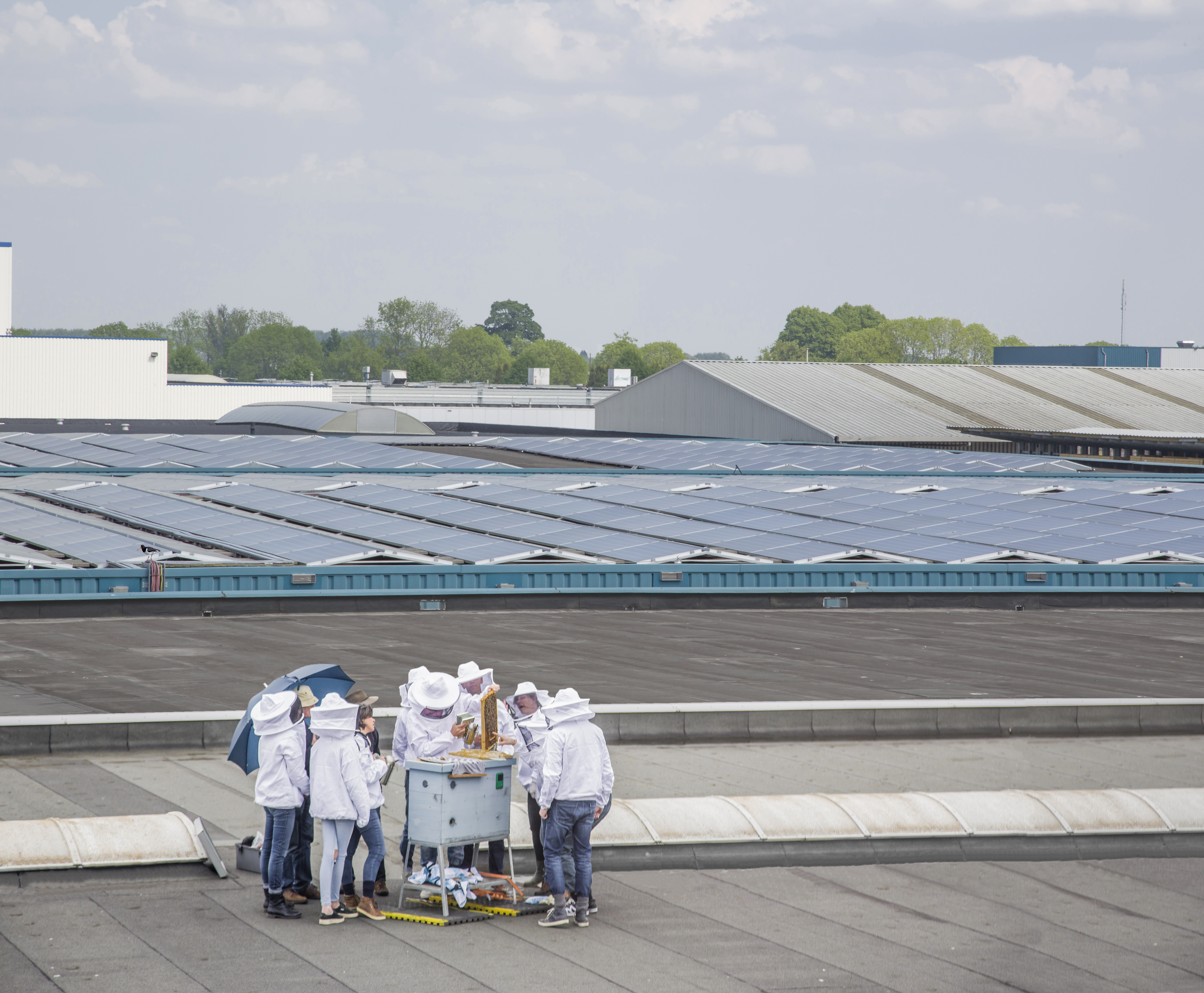 ITM evolves, states TJI