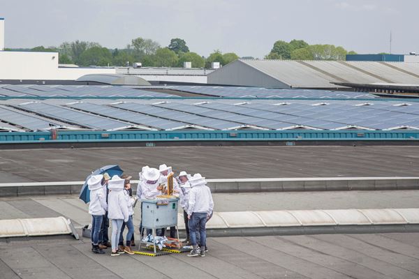 ITM evolves, states TJI